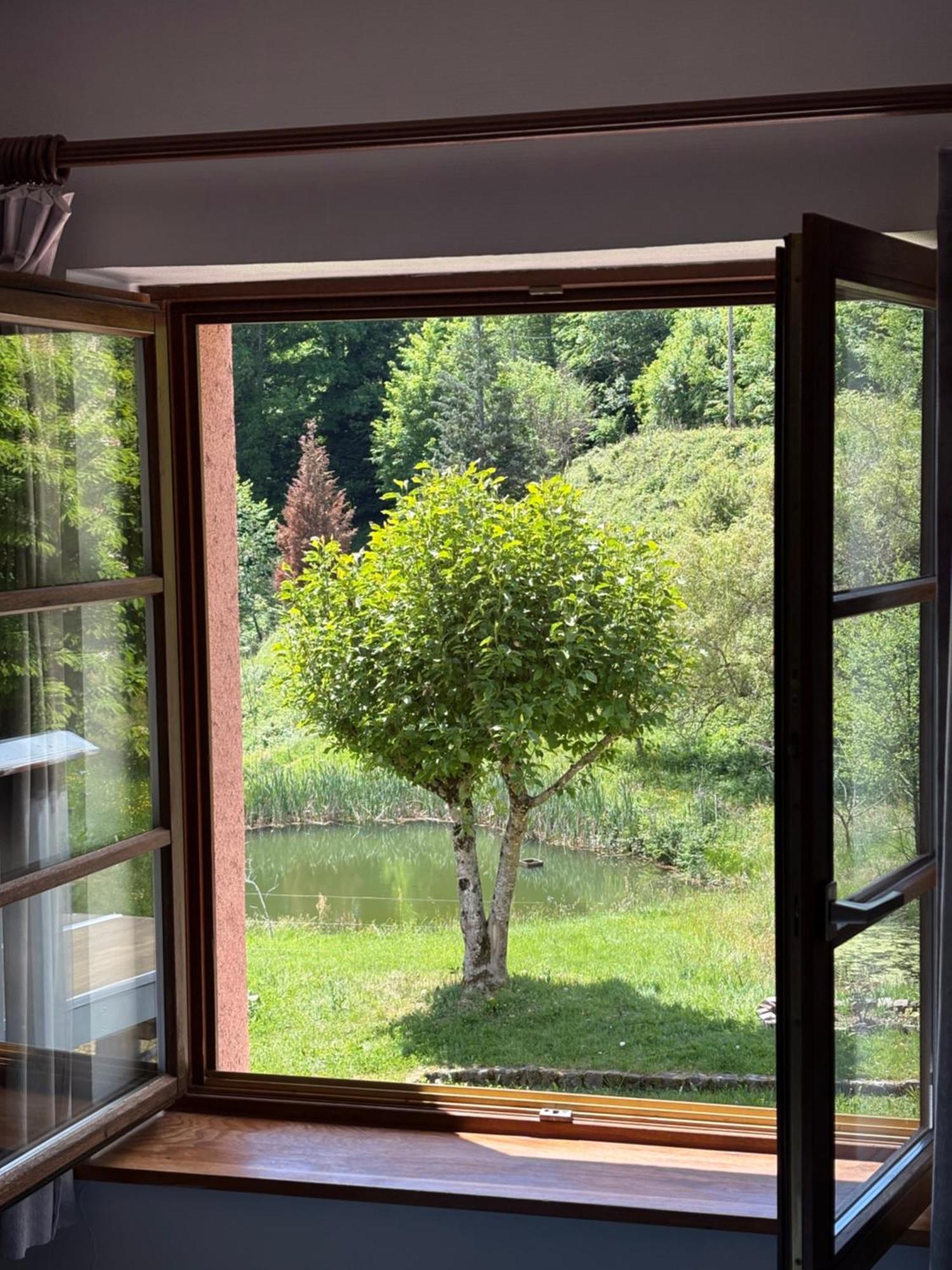 Hotel La Belle Charbonniere La Grande Fosse Pokoj fotografie